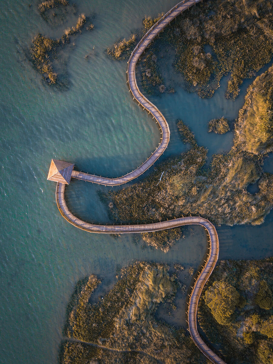 michael-baccin-RMHF7BY3XXo-unsplash